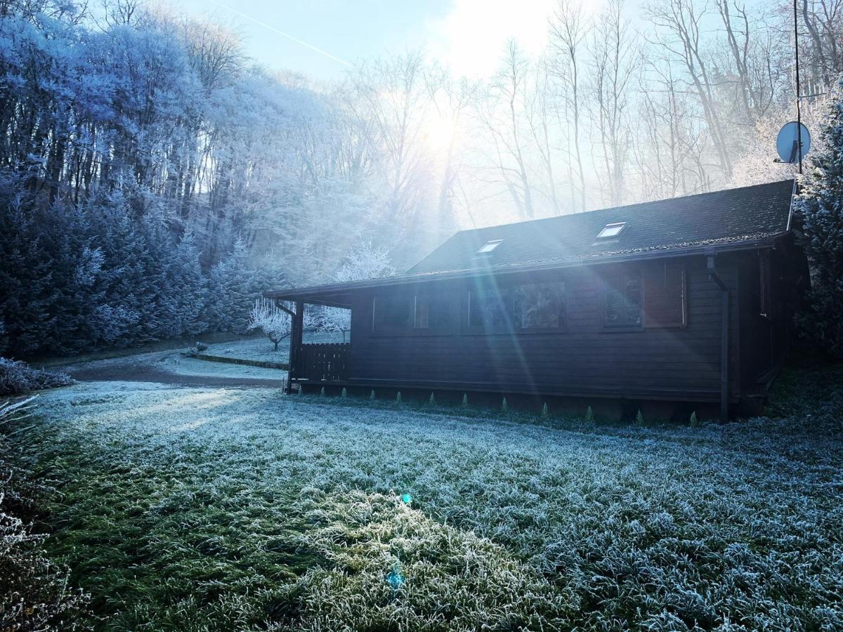 Holiday House Roko Sveti Ivan Zelina Екстериор снимка
