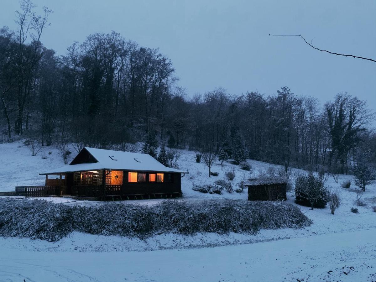 Holiday House Roko Sveti Ivan Zelina Екстериор снимка